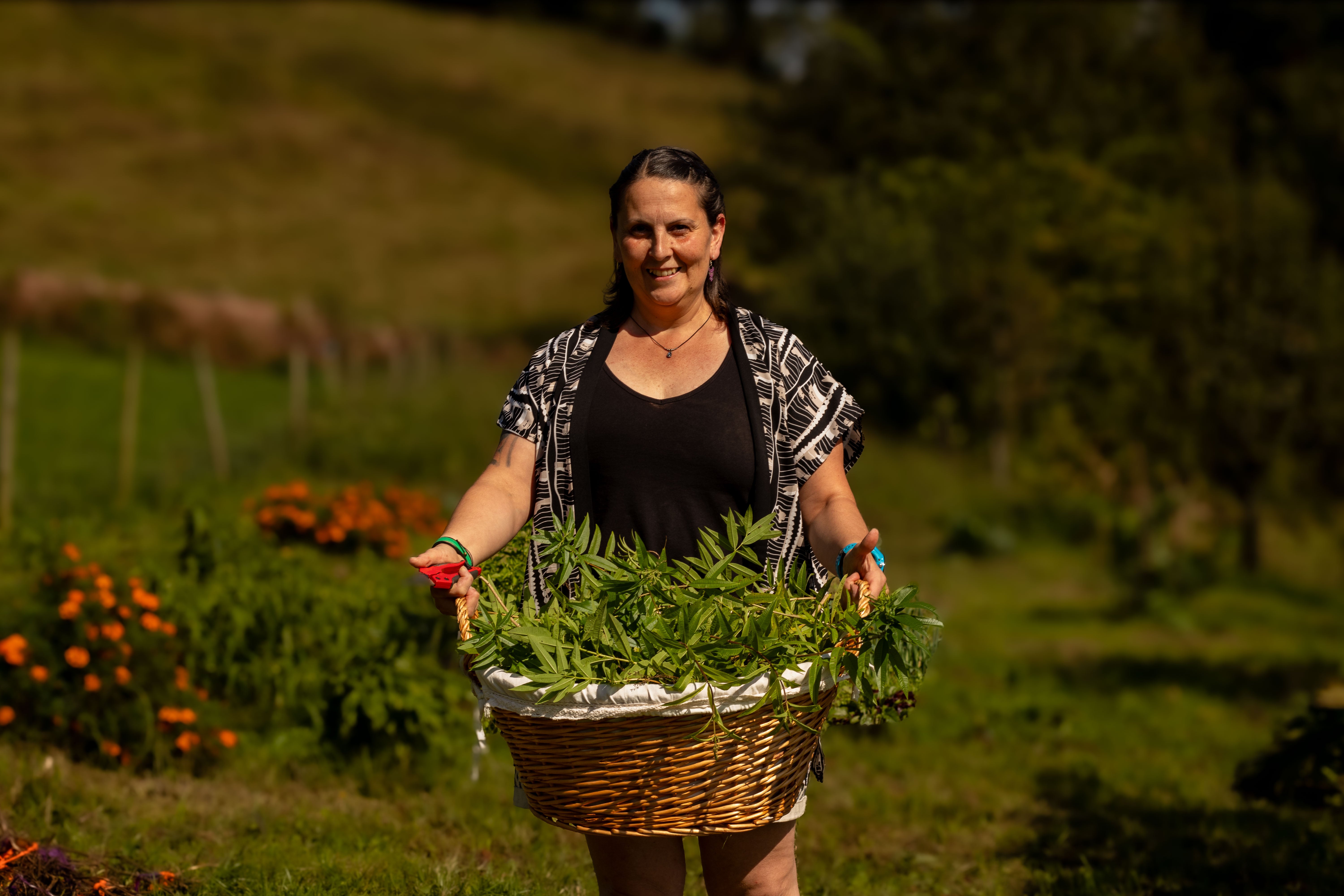 La Marieta Tea