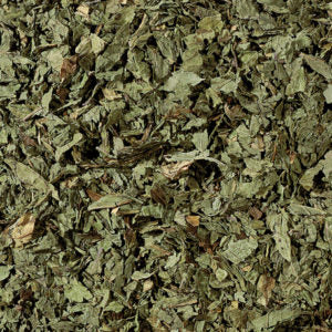Menta Poleo