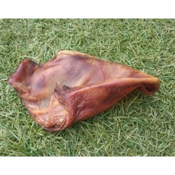 Oreja de Cerdo Ibérico
